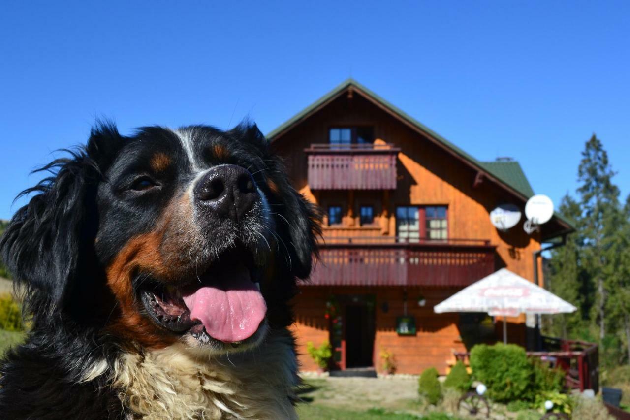 Penzion Dinda Stará ľubovňa Zewnętrze zdjęcie